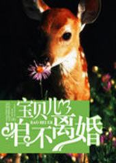 宝贝儿，咱不离婚宝贝儿，咱不离婚